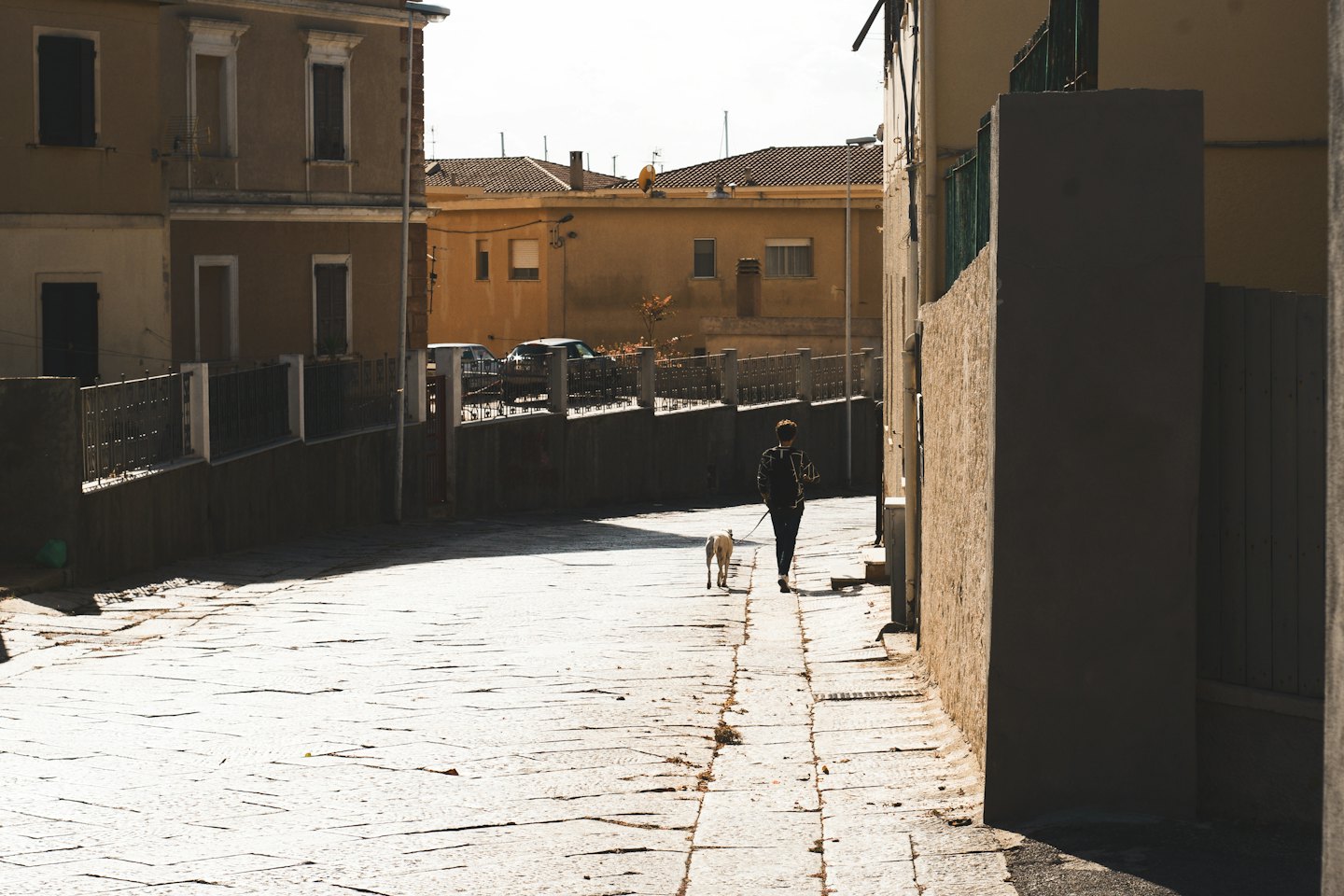 A person walks a small dog down a stone street.