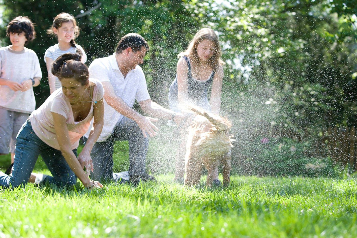 Family plays with golden retriever shaking water in a sunny backyard.